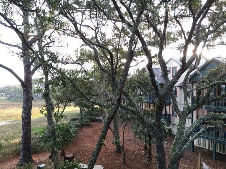 Multi-story resort building with wooden balconies nestled among large oak trees, with marshland visible in the background.