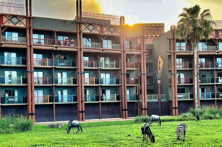 Multi-story resort building with balconies overlooking a savanna where zebras and other animals graze on green grass at sunset.
