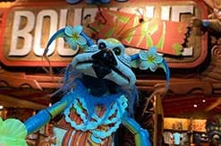 Trader Sams Cocktail